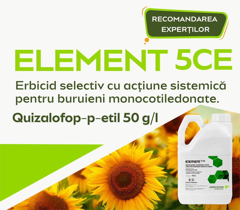 ELEMENT 5CE ELEMENT 5CE